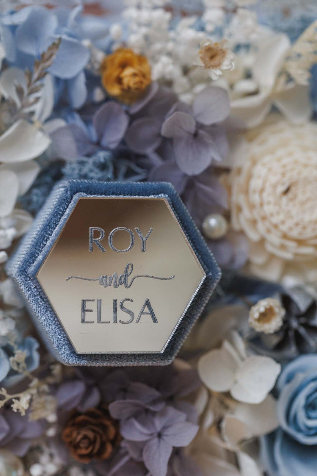 Frozen with Elsa❄️