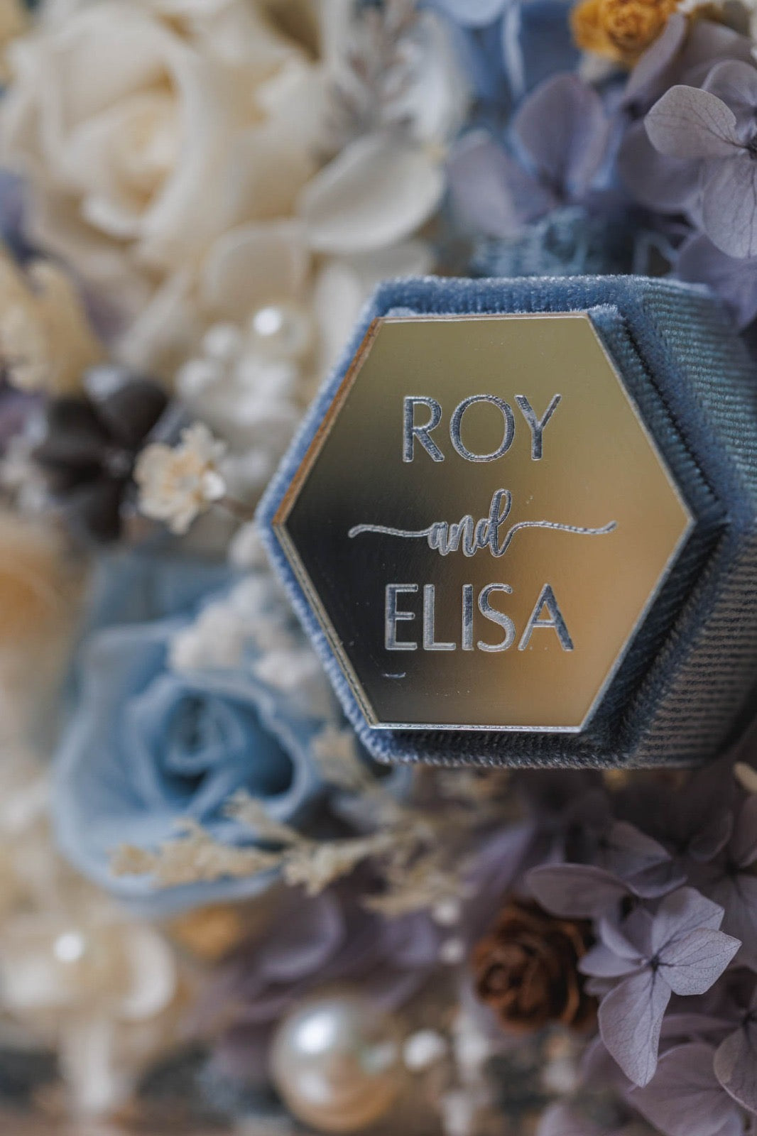 Frozen with Elsa❄️