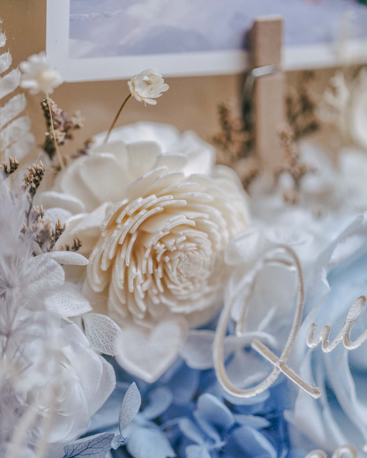 Timeless Petal