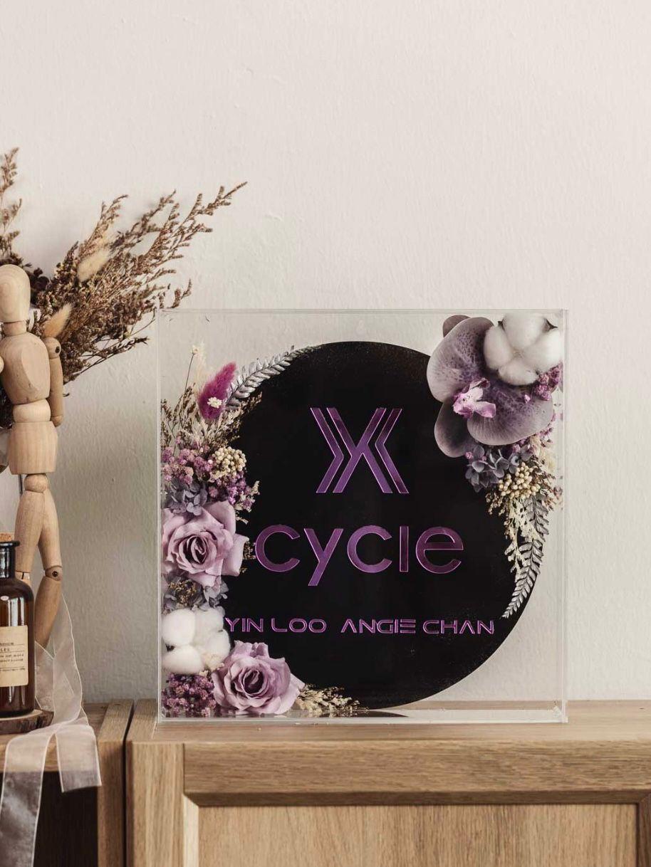 X Cycle Regal Displays