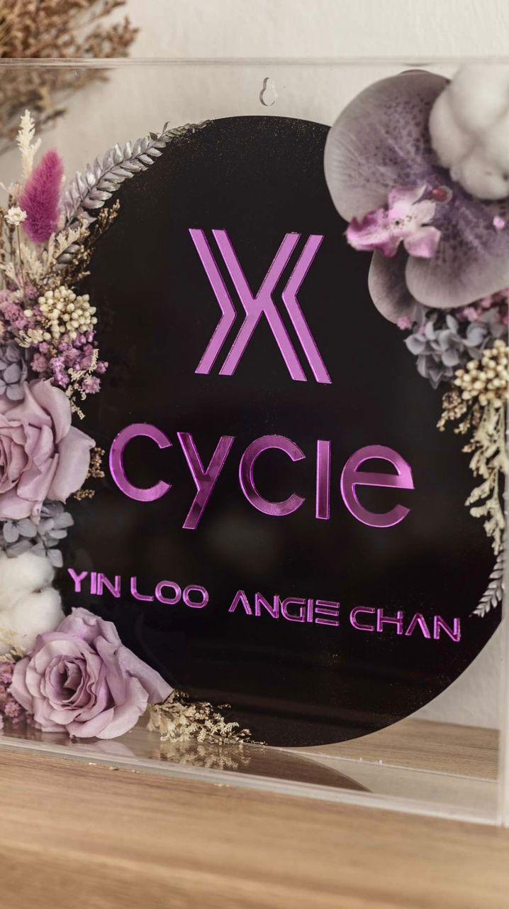 X Cycle Regal Displays